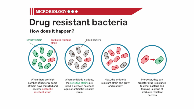 CDC Warns of Rising "Nightmare Bacteria" Infections
