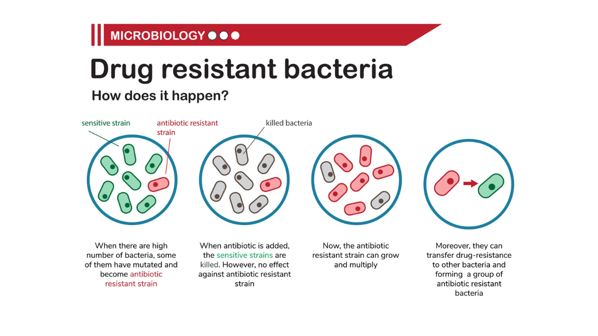 CDC Warns of Rising "Nightmare Bacteria" Infections